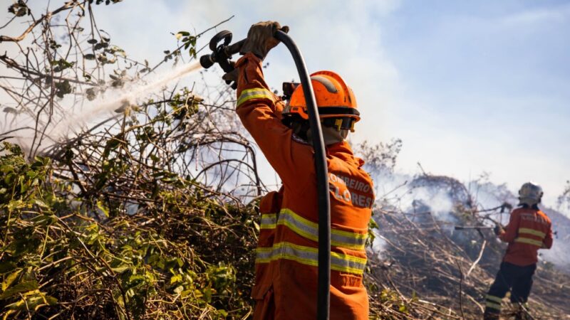 Corpo de Bombeiros reforça equipe de combate a incêndio em Cáceres; fogo em Poconé segue confinado nesta terça-feira (25)