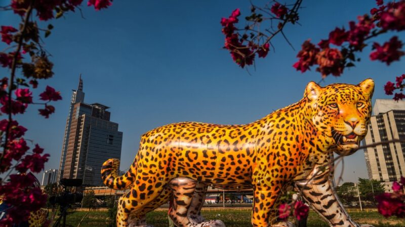 Viradinha Sustentável terá esculturas gigantes de onças-pintadas