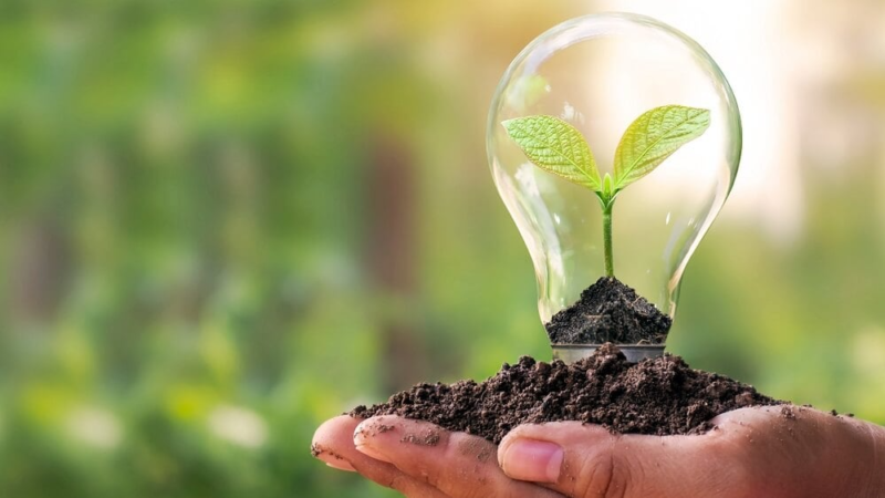 Dia Mundial do Meio Ambiente – Sicredi dobra liberação de recursos para Economia Verde