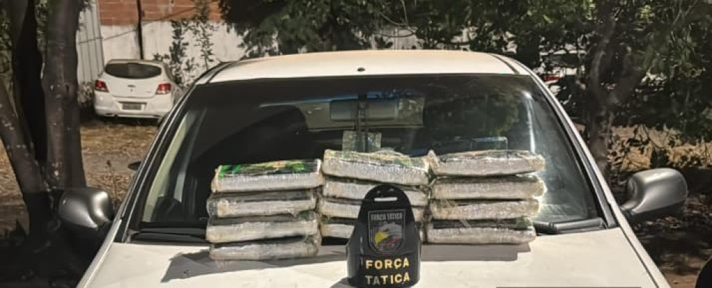 Força Tática prende dois homens e apreende 12 tabletes de maconha Força Tática prende dois homens e apreende 12 tabletes de maconha