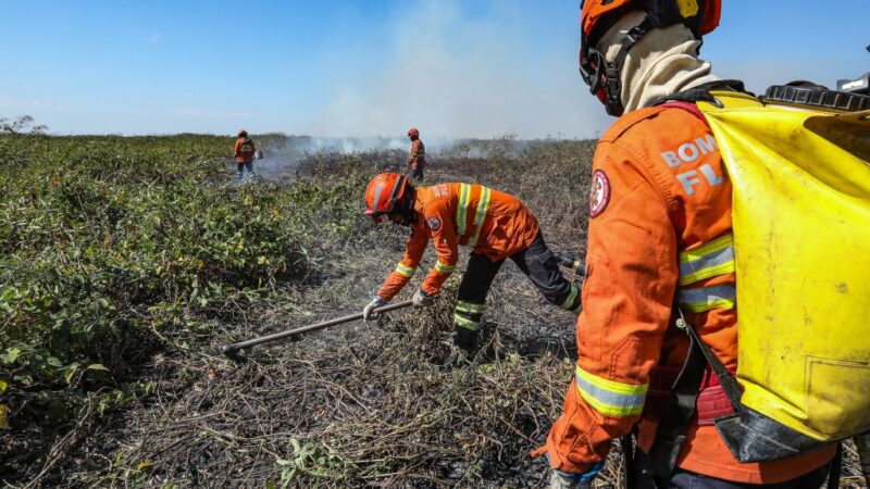 Corpo de Bombeiros segue combatendo incêndio no Pantanal nesta quarta-feira (17)