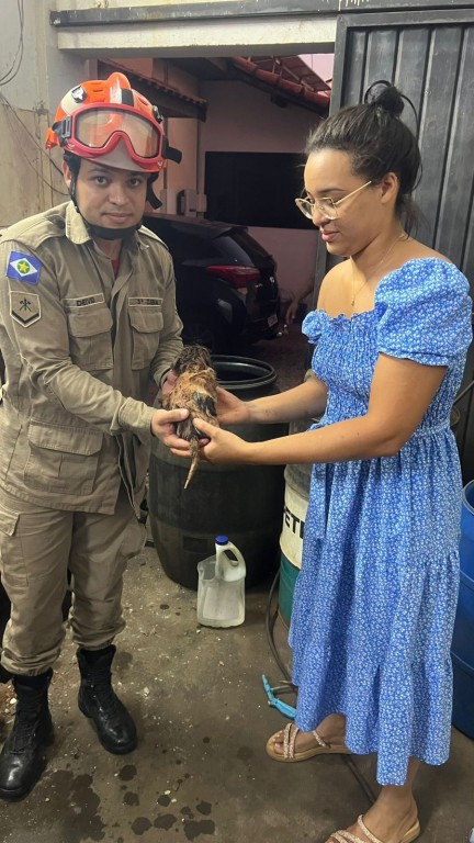 Corpo de Bombeiros resgata cachorro que ficou preso em cano de esgoto Corpo de Bombeiros resgata cachorro que ficou preso em cano de esgoto