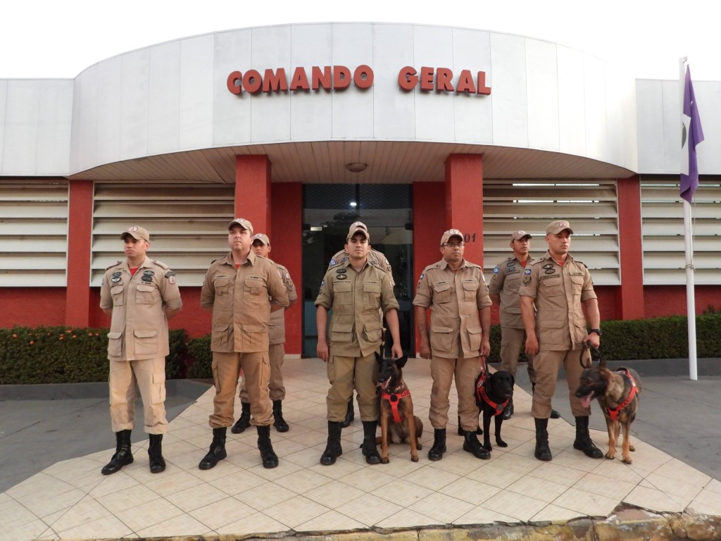 Bombeiros de MT retornam após operação de busca por desaparecidos no RS Bombeiros de MT retornam após operação de busca por desaparecidos no RS