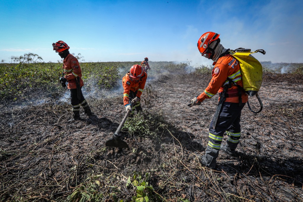 Corpo de Bombeiros extingue dois incêndios em Nova Mutum e combate outros 21 em MT nesta segunda-feira (05)