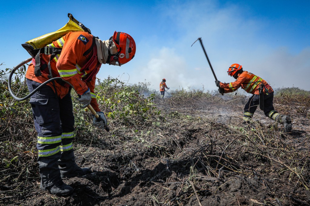 Corpo de Bombeiros alerta para estiagem severa e pede apoio da população na prevenção de incêndios florestais Corpo de Bombeiros alerta para estiagem severa e pede apoio da população na prevenção de incêndios florestais