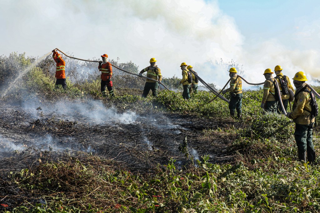Bombeiros de MT extinguem incêndio em terra indígena e combatem outros 53 neste domingo (15) Bombeiros de MT extinguem incêndio em terra indígena e combatem outros 53 neste domingo (15)
