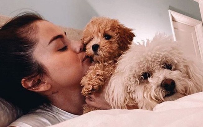 Teste: Você consegue adivinhar de qual famosa é este pet?