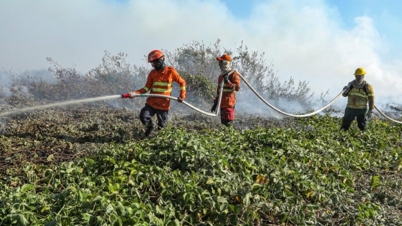 Corpo de Bombeiros segue no combate a nove incêndios florestais em MT nesta segunda-feira (28)