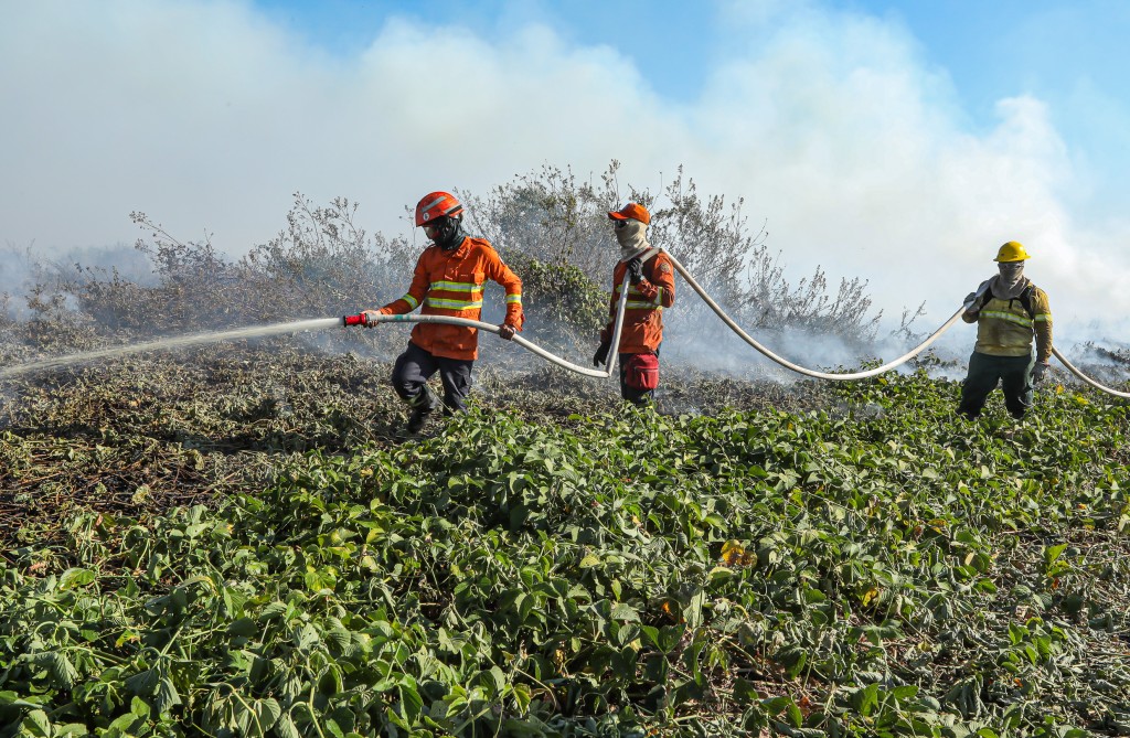 Corpo de Bombeiros segue no combate a nove incêndios florestais em MT nesta segunda-feira (28) Corpo de Bombeiros segue no combate a nove incêndios florestais em MT nesta segunda-feira (28)