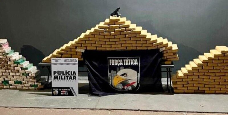 Polícia Militar registra aumento de 204% nas apreensões de drogas
