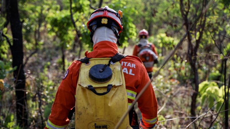 Bombeiros de MT combatem incêndio em área de difícil acesso no Portão do Inferno