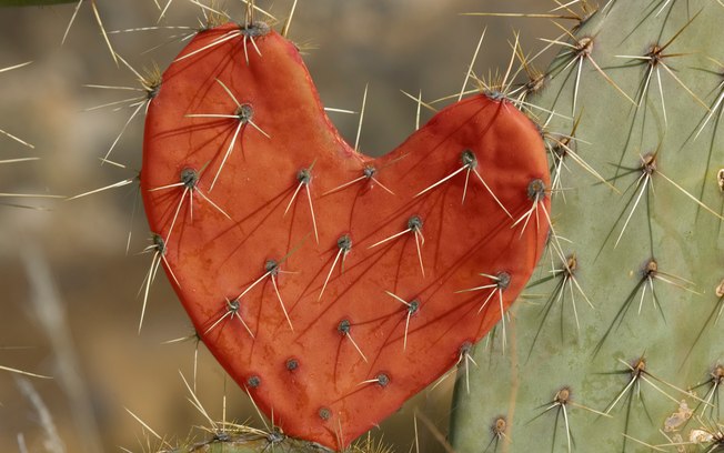 5 coisas pelas quais você não deve se desculpar em um relacionamento