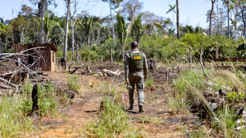 Sema deflagra 298 operações e aplica R$ 1,6 bilhão em multas contra crimes ambientais em 2024