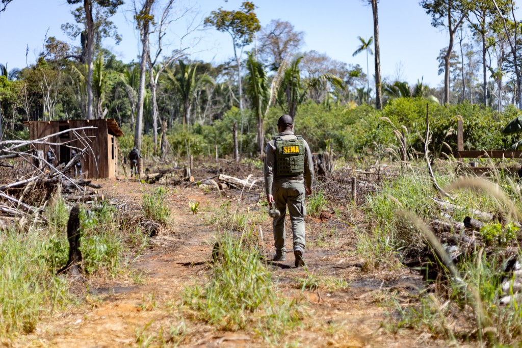 Sema deflagra 298 operações e aplica R$ 1,6 bilhão em multas contra crimes ambientais em 2024 Sema deflagra 298 operações e aplica R$ 1,6 bilhão em multas contra crimes ambientais em 2024