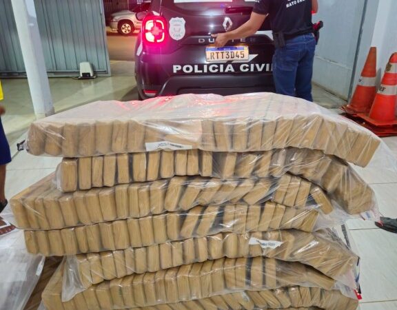 Polícia Civil incinera mais de 1,3 tabletes de maconha apreendidos em Alto Taquari