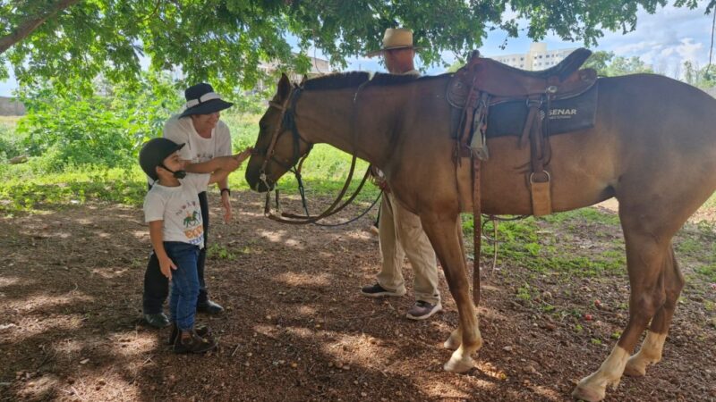 Sesp realiza cerca de 890 atendimentos com equoterapia para crianças e adolescentes