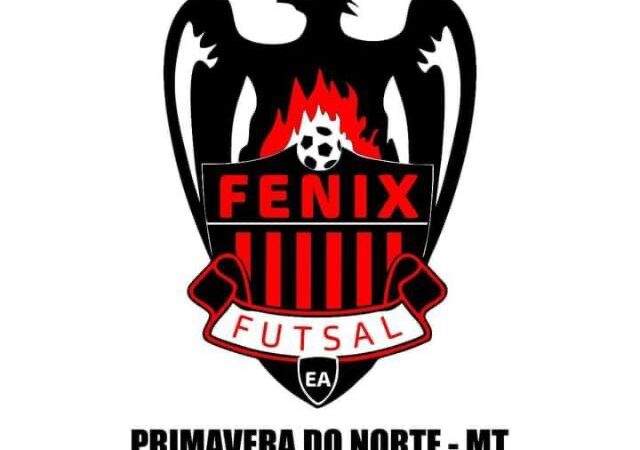 Associação Esportiva Fênix Futsal Primavera Convoca Assembleia Geral Extraordinária